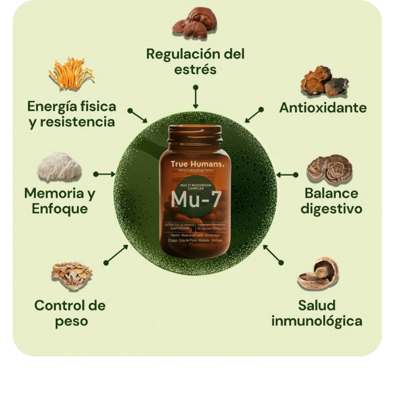 Mushroom Complex